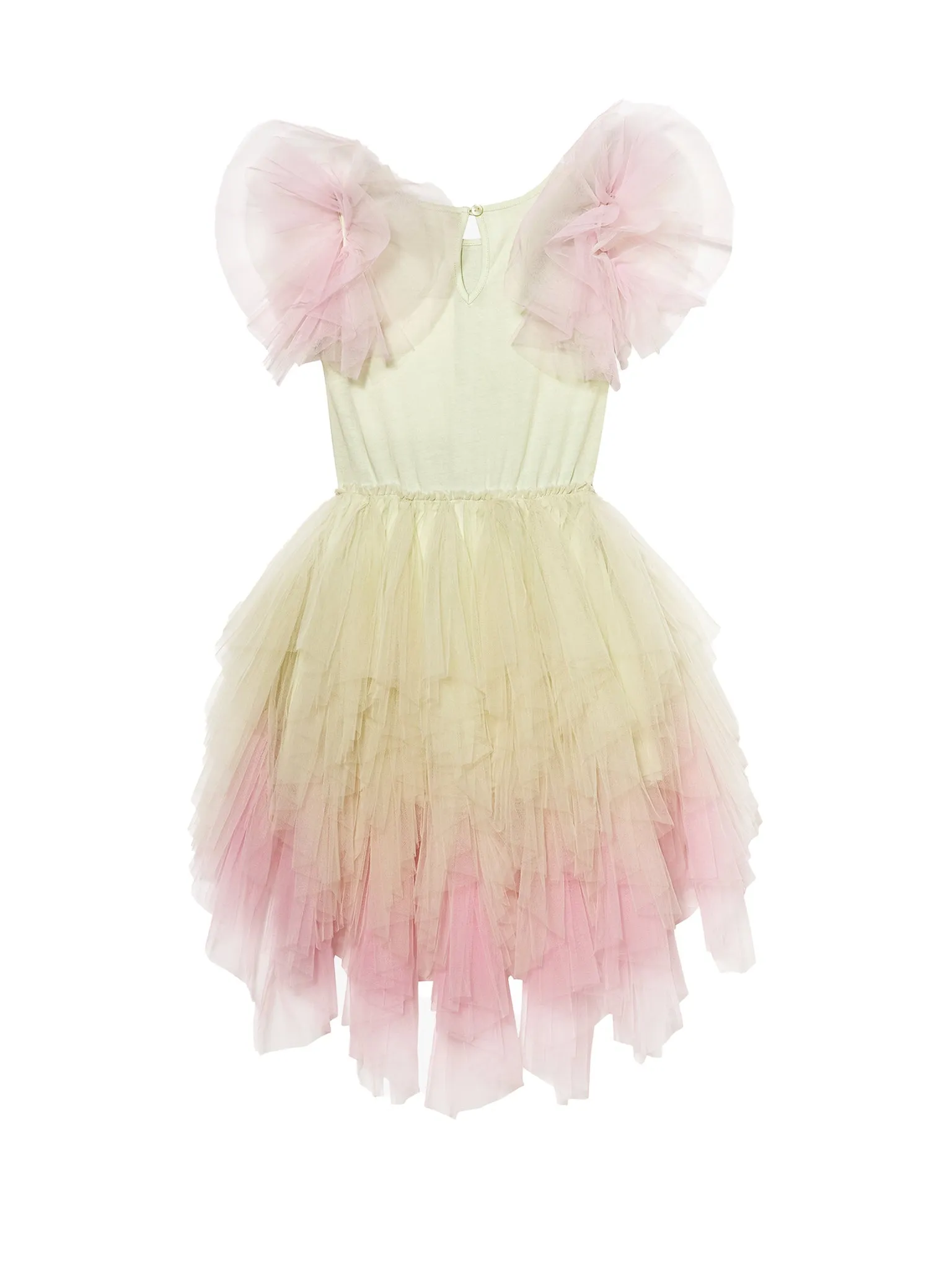 Colour Theory Tutu Dress