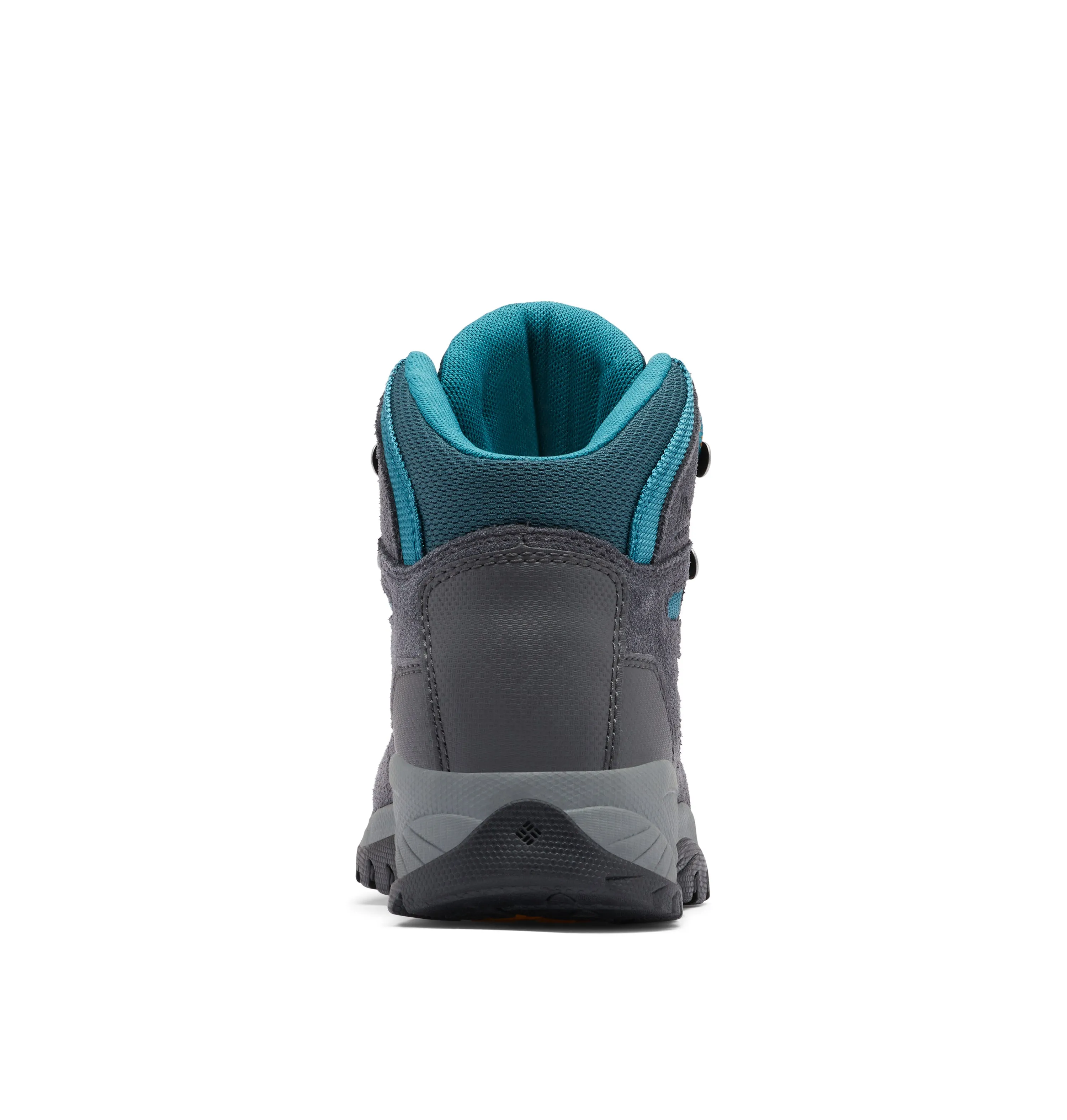 Women's Newton Ridge Plus Waterproof Boot